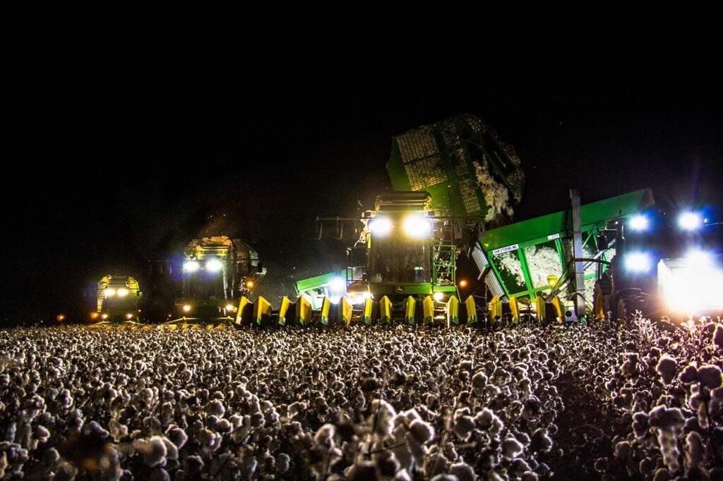 Cotton-Picker.jpg