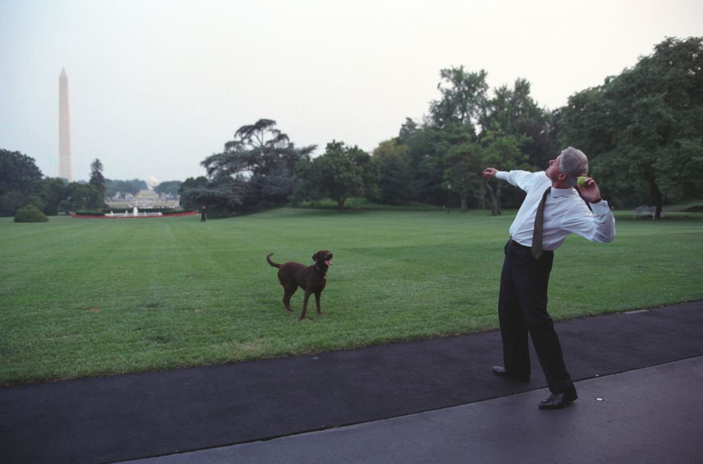 Presidents And Dogs