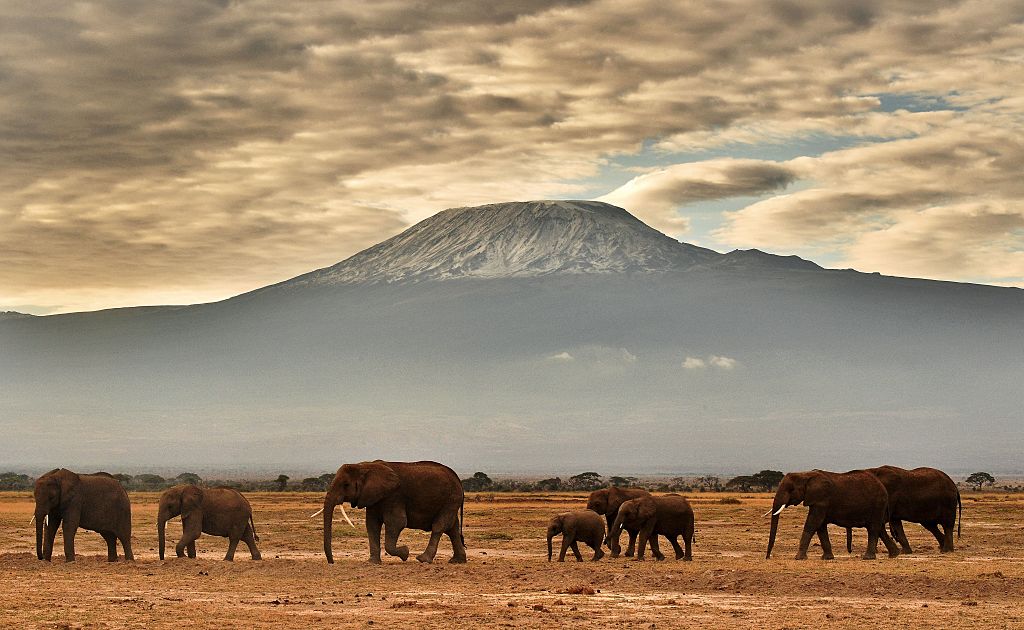 MountKilimanjaro