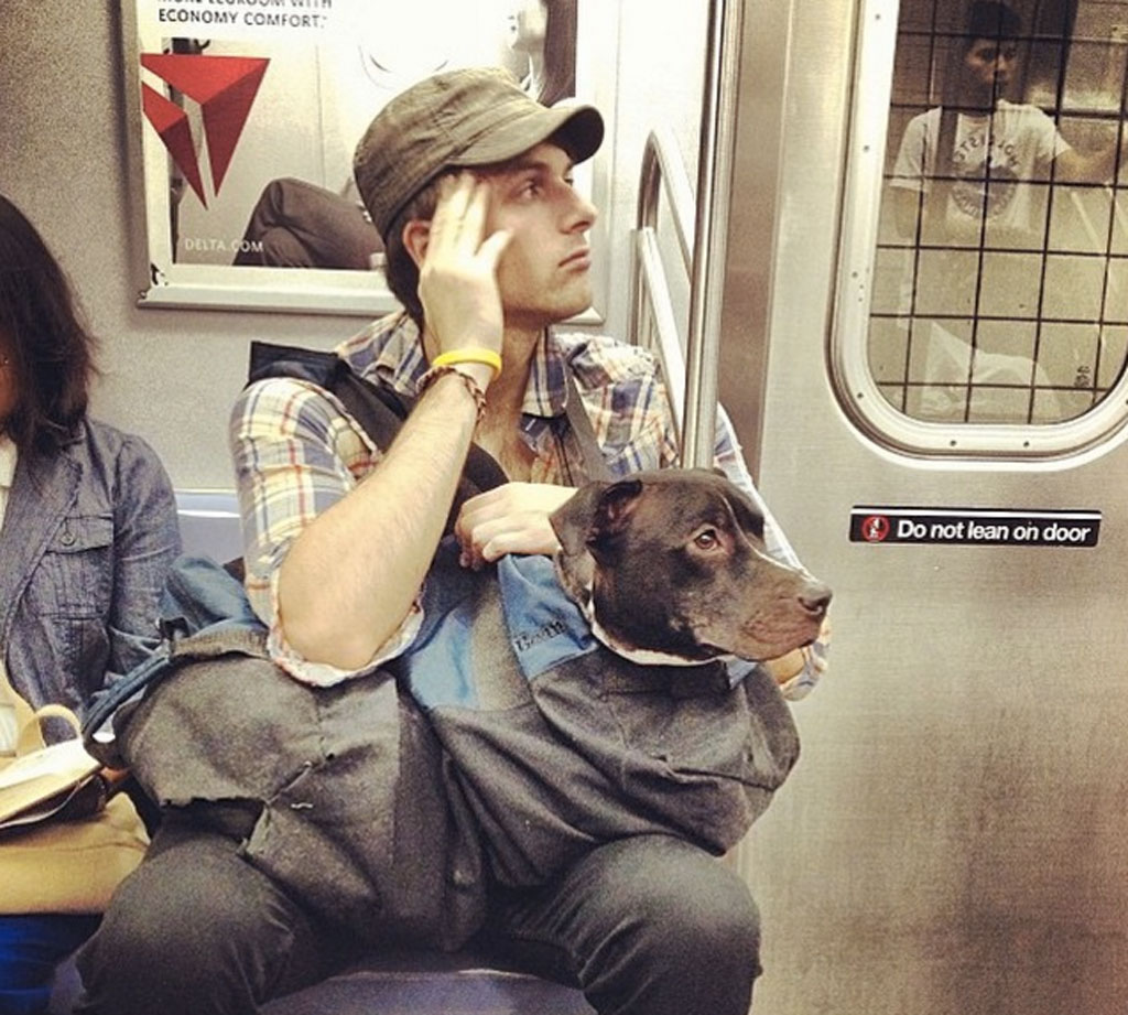 subway-dogs-3