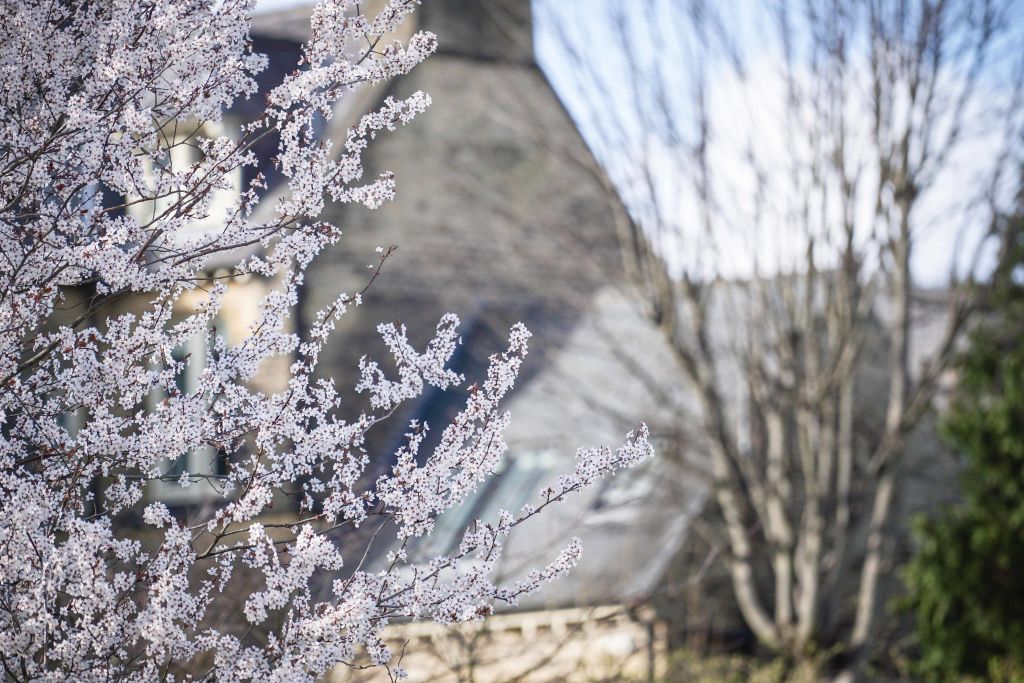 GettyImages-1129799437