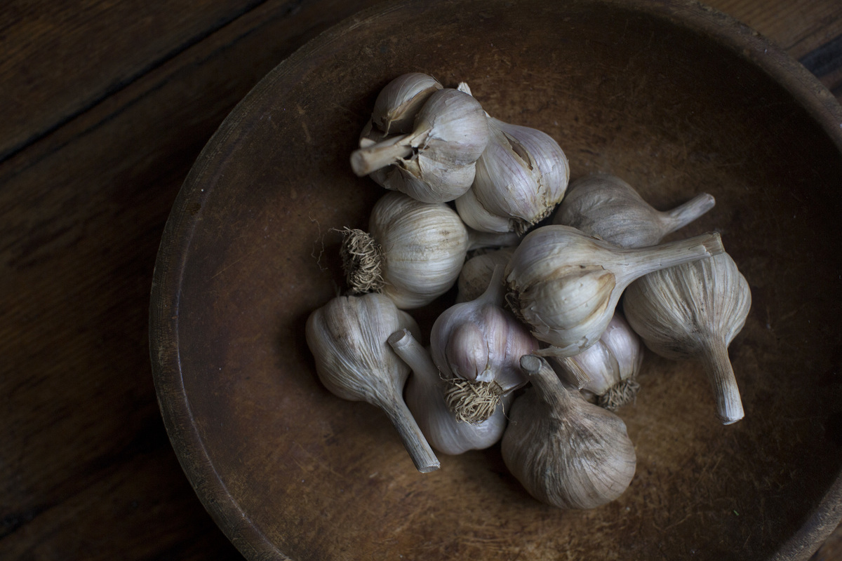 GPS Garlic phobia Alliumphobia