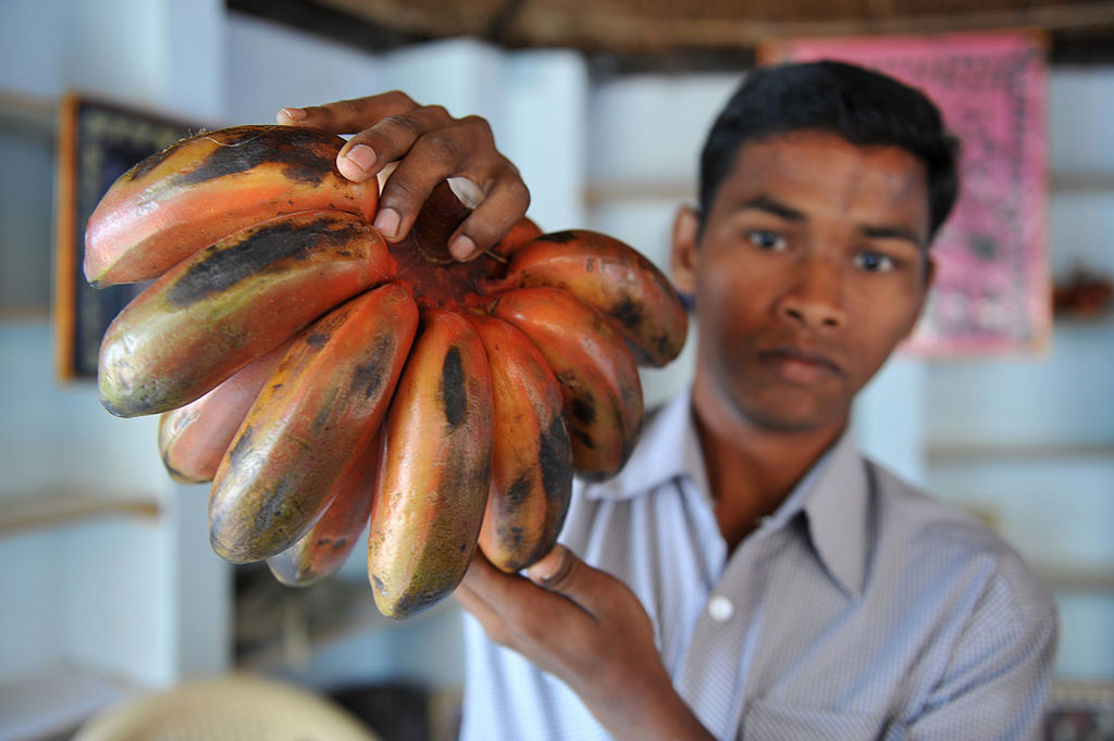 red bananas
