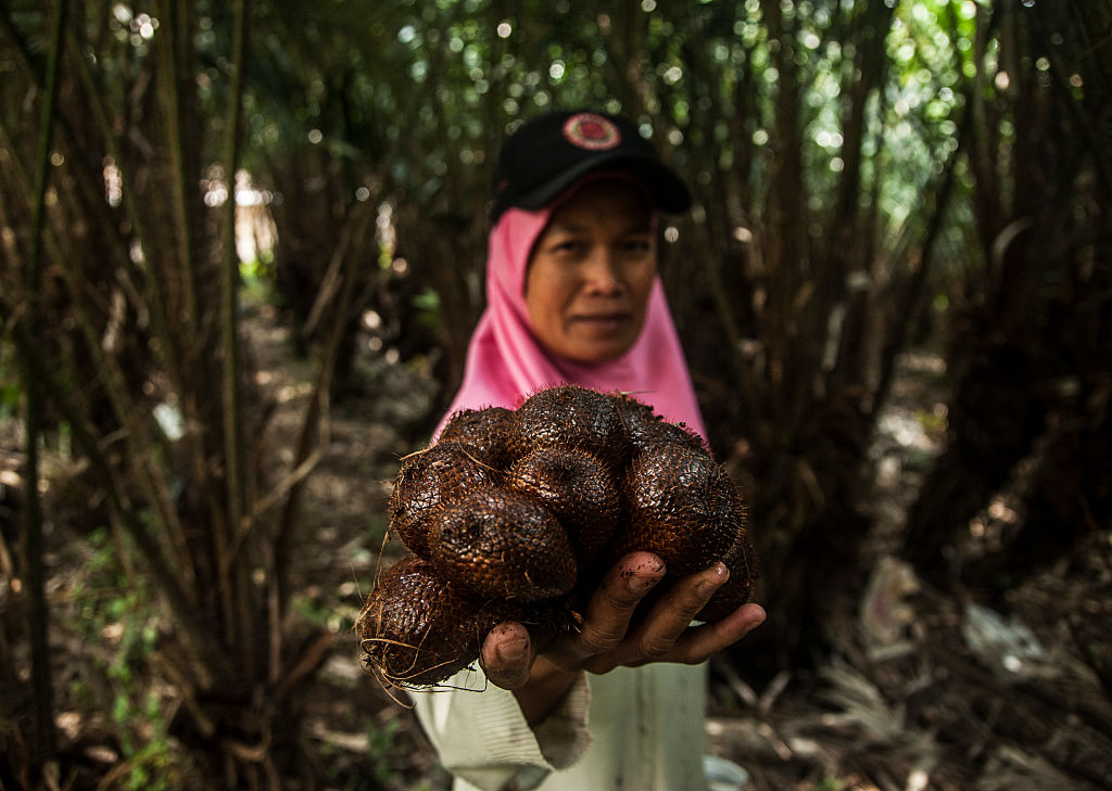 Snake fruit