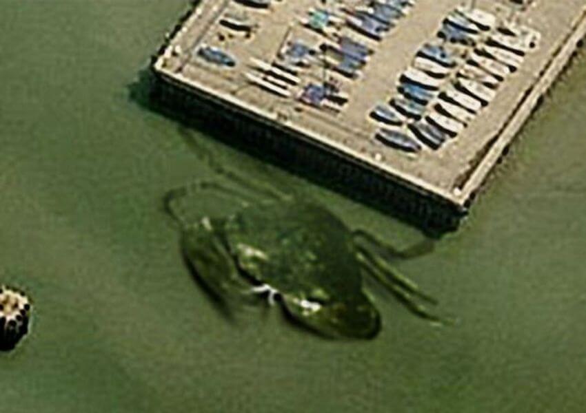 creepyinthewater-78906