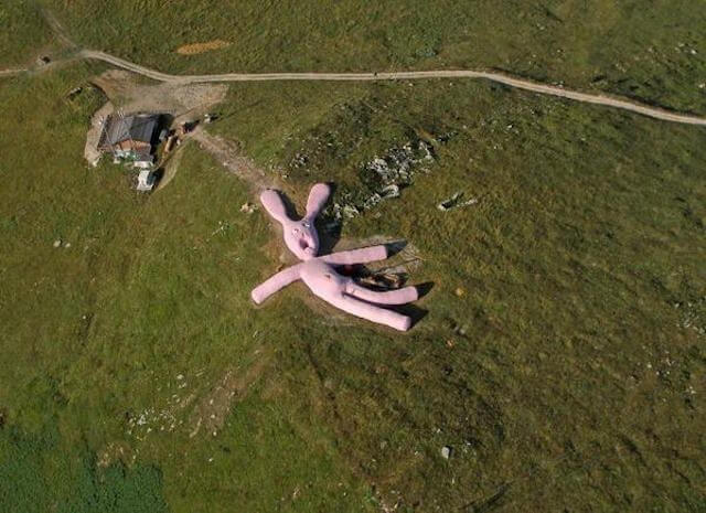 giant pink bunny