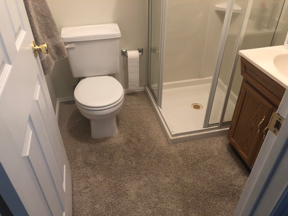 carpet in the bathroom has a weird feel to it and now we can't unsee this 