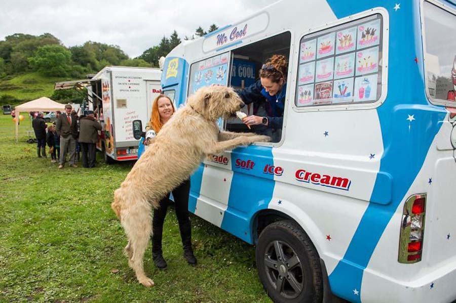 ice cream truck