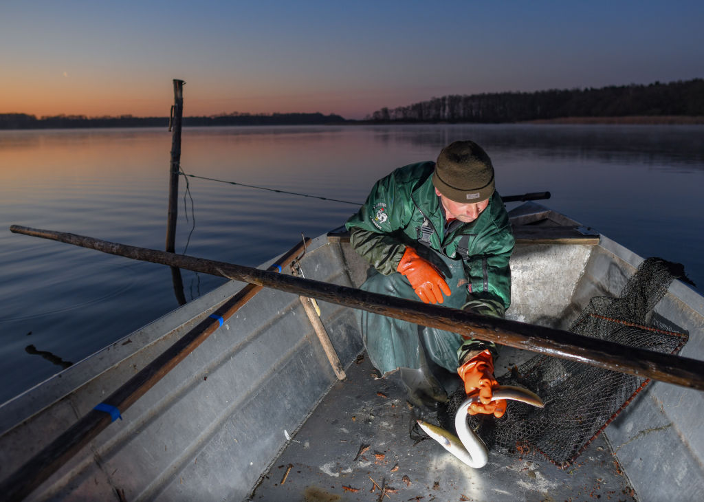 A fisherman holds onto an eel he caught in his net.