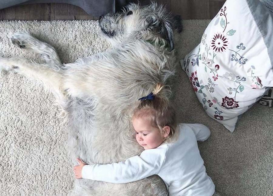baby hugging large wolfhound