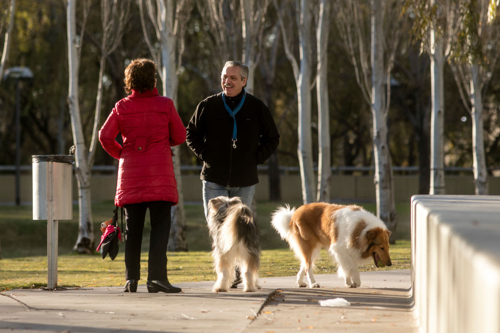 A man and woman converse while walking their dogs