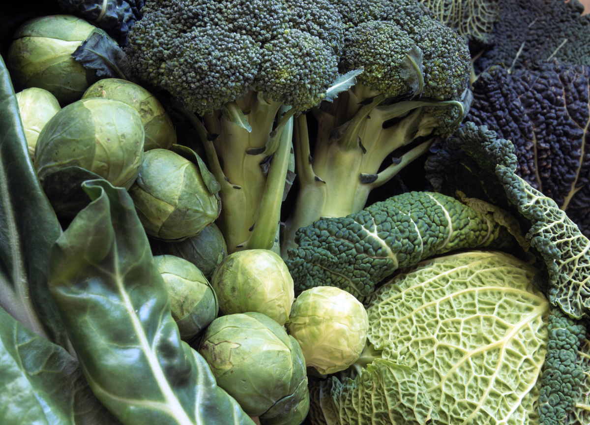 Green vegetables - savoy cabbage, brussel sprouts, broccoli, swiss chard.