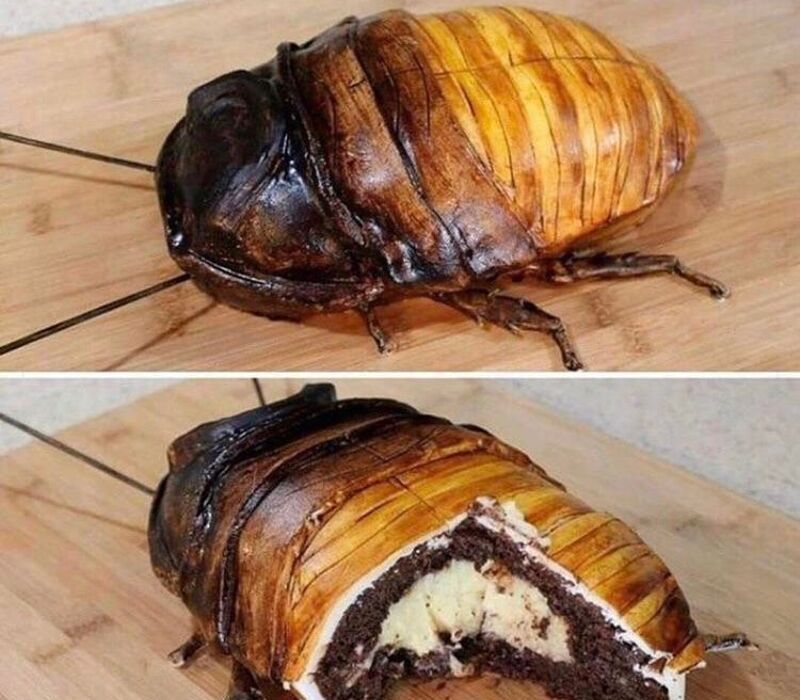 cockroahc cake