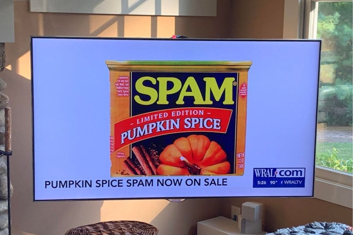spam pumpkin