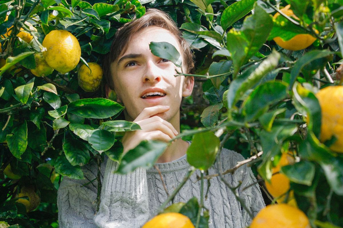 Man standing amidst a lemon tree.