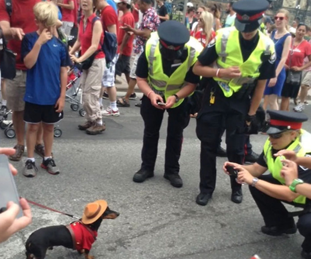 Police Officers huddled and taking pictures of a small dog in a hat