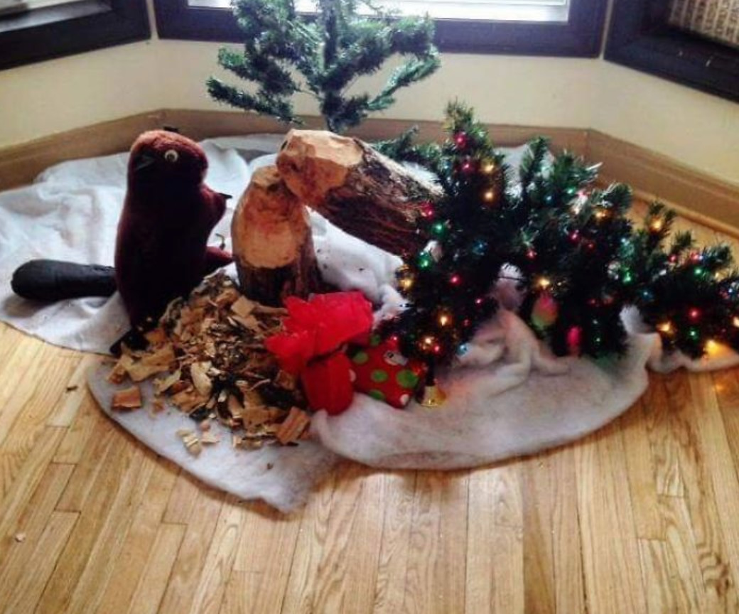 Christmas tree chewed and broken with stuffed beside it