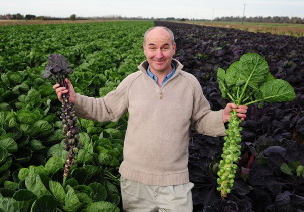 fgh17373-54556-74236