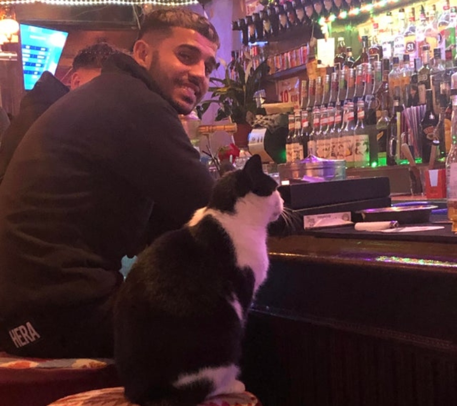 cat and man sitting at a bar together