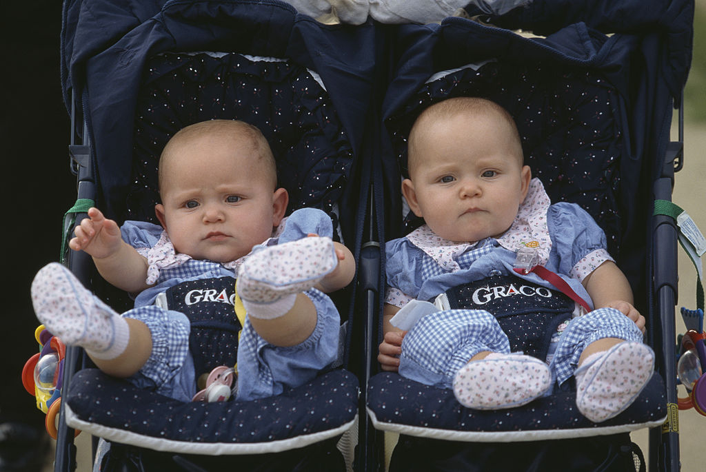 twins in a stroller