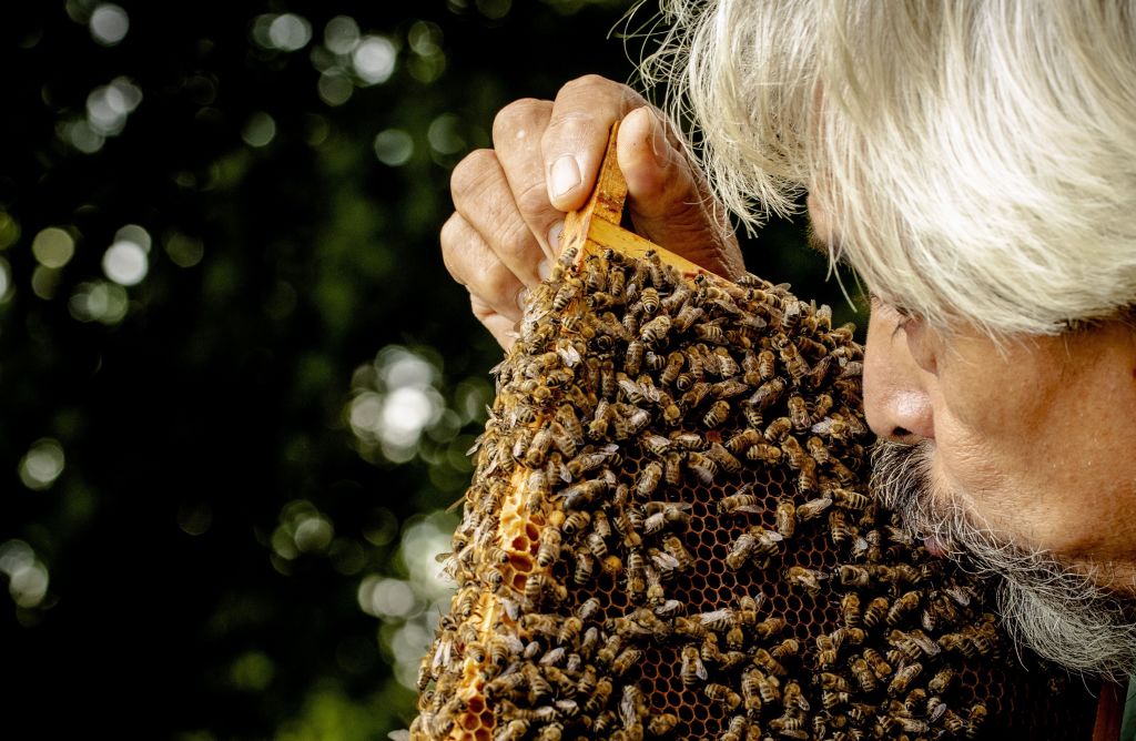 A man plants a kiss on a hive covered in bees.