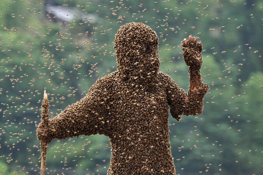 A standing person is covered from head to toe in bees.