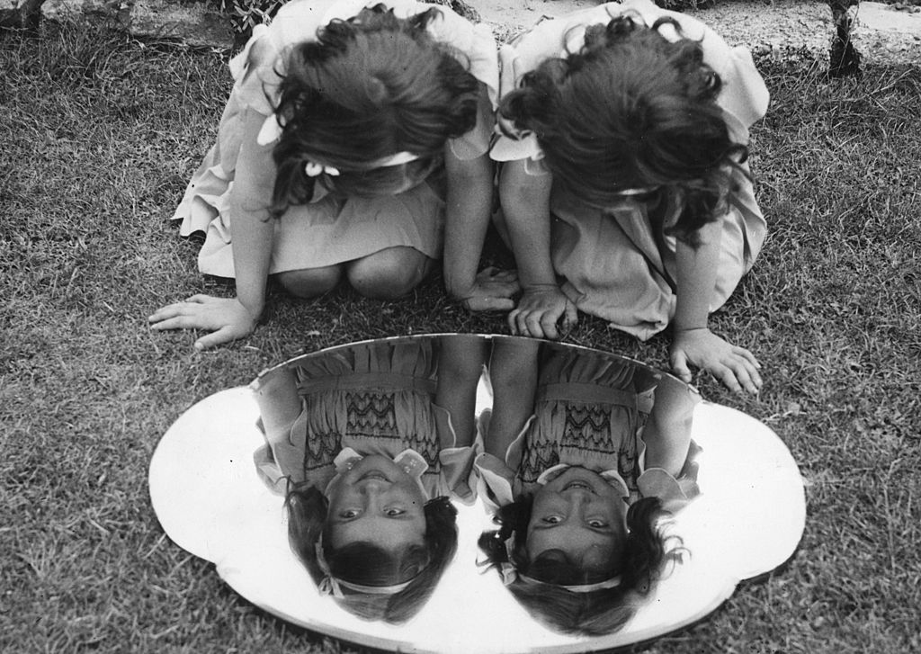 twins look into a mirror