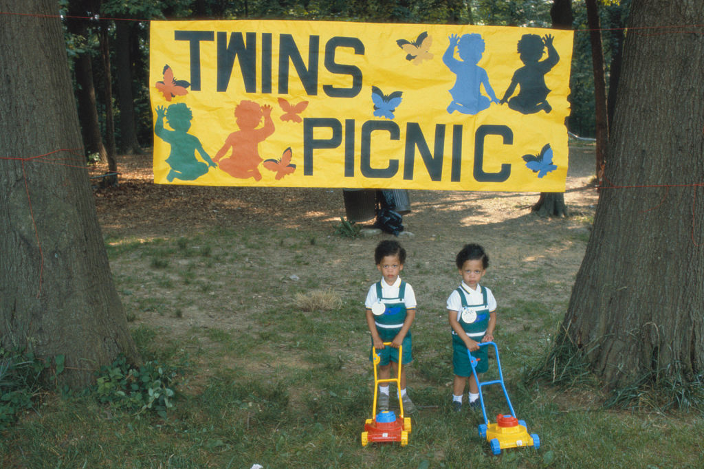 twins attend a picnic