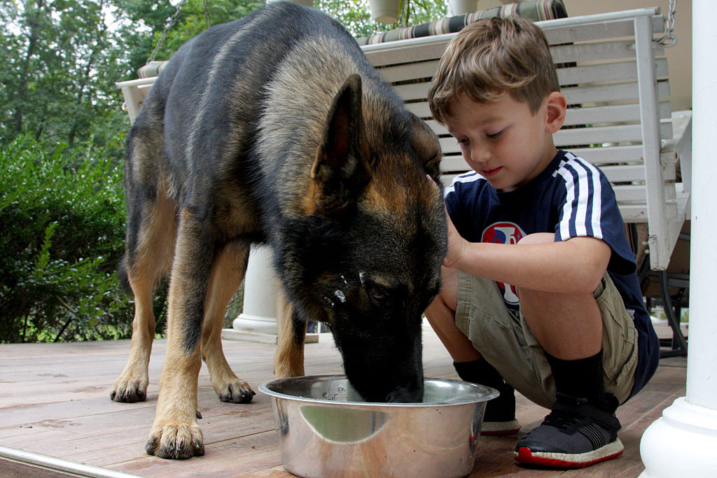 A young boys squants down next to his eating dog.