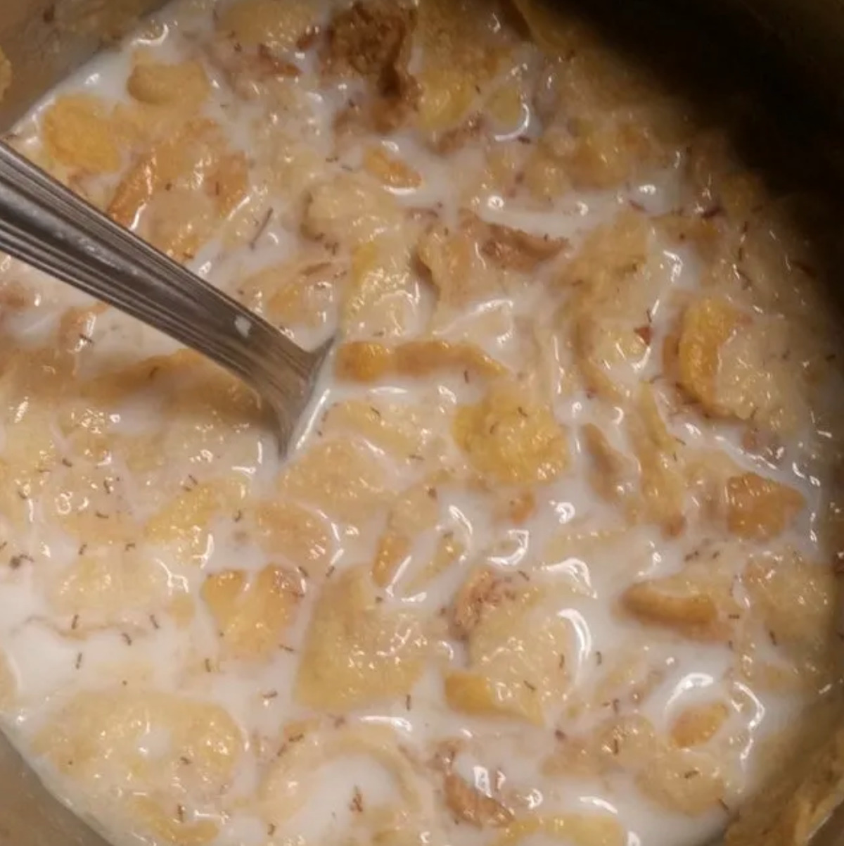 Cereal with dead bugs in it