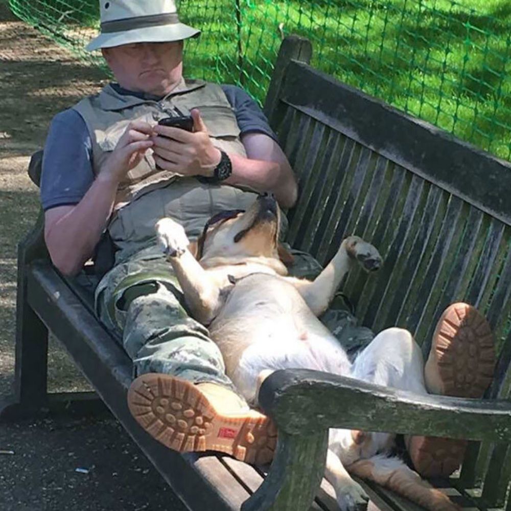 dog lying on back on park bench with owner wearing sunglasses