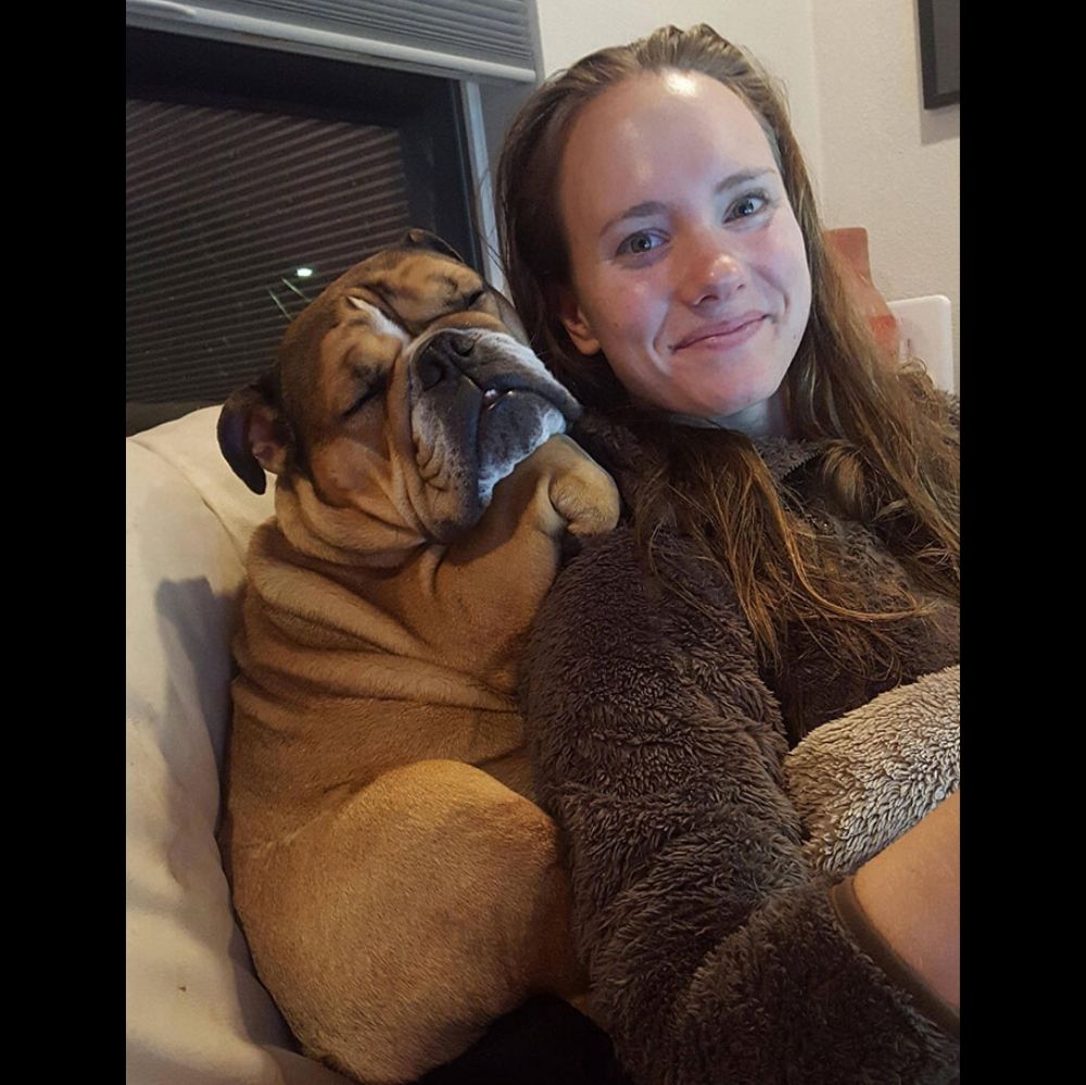 bulldog sleeps clinging onto girl's shoulder like a koala