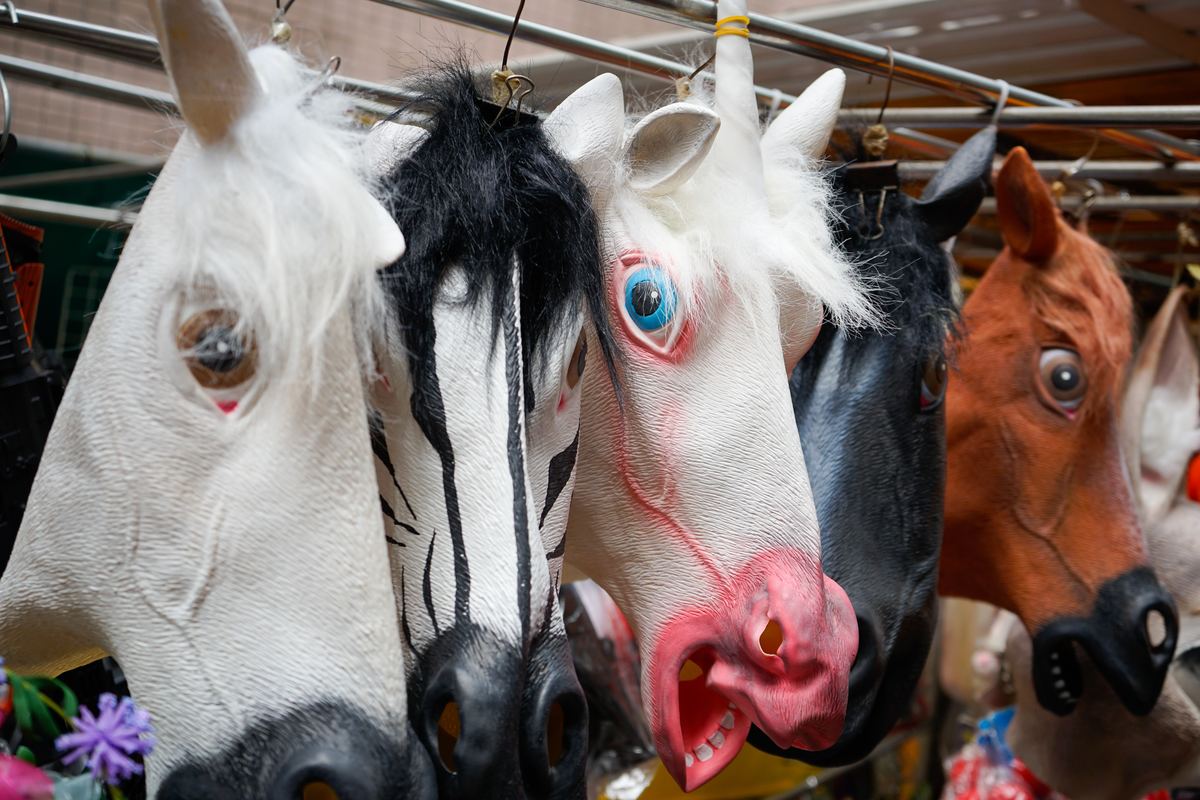 horse masks