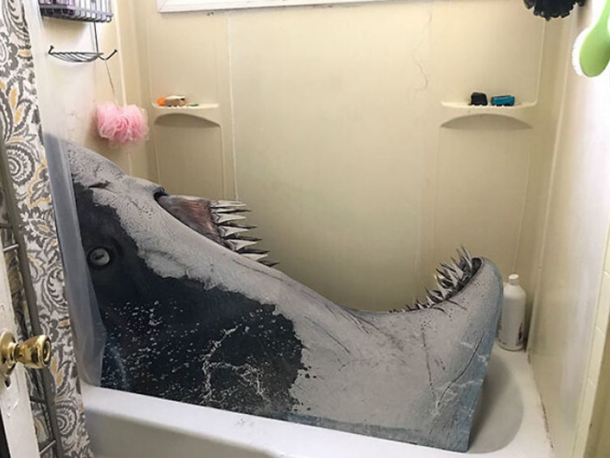 shark attack in the bathrub