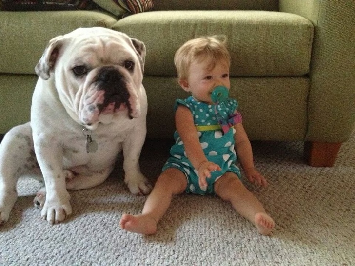 little girl and bulldog sit in the same way on the floor