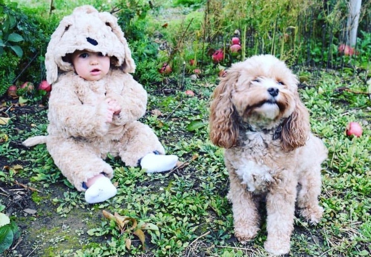 baby dressed in costume to look like family dog