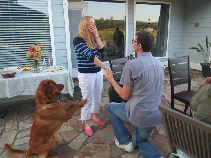 guy proposes to woman while dog mimics his pose