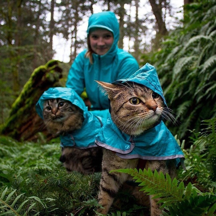 two cats and owner dressed in matching blue rain jackets