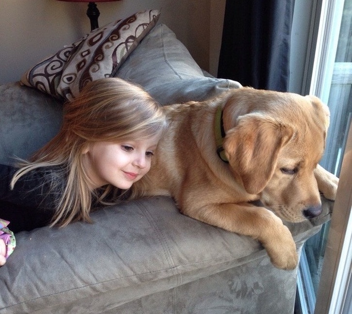 girl and golden retriever stare out of a window together