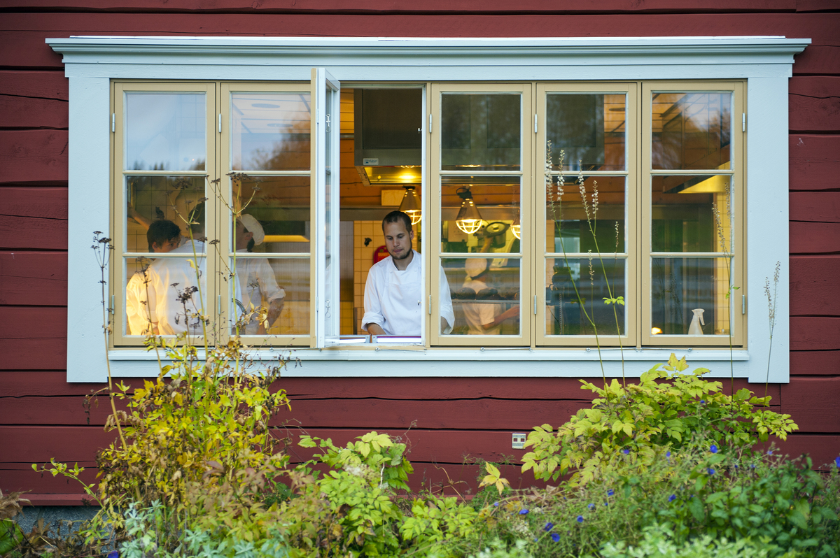 man in an open window