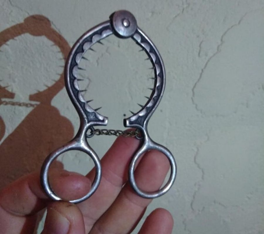 something used to take the shells off eggs