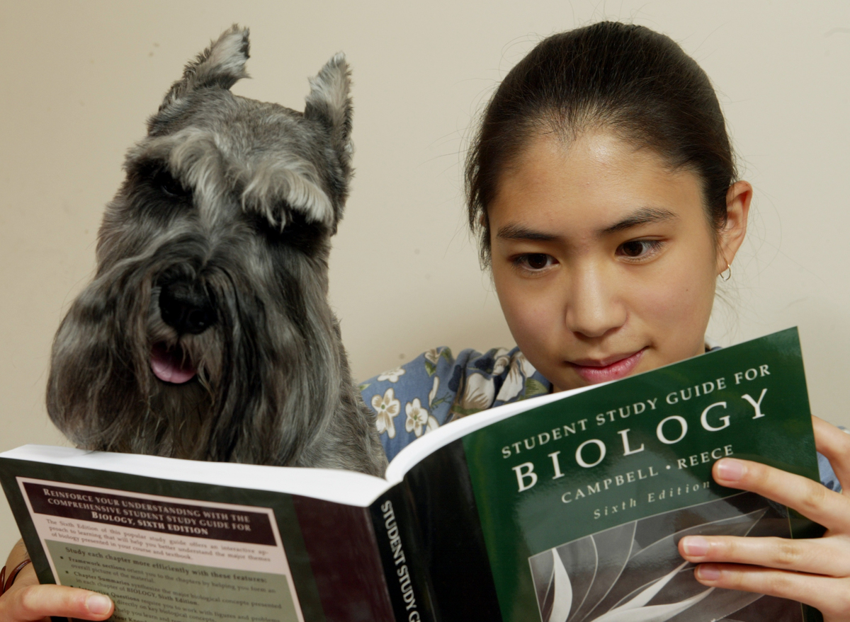 An owner reads a biology textbook with her miniature schnauzer. 