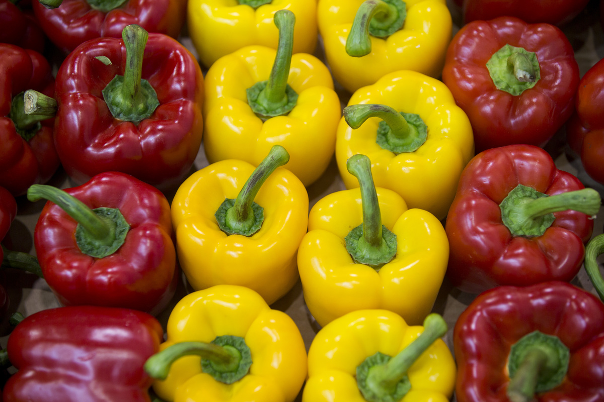 Red and yellow bell peppers stand in a line.