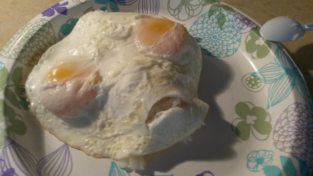 eggs and rice that look like ET
