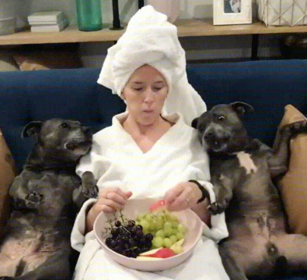 two dogs and owner lying on couch eating grapes