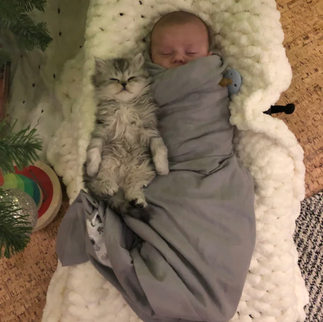 Kitten and baby lie side by side cuddling
