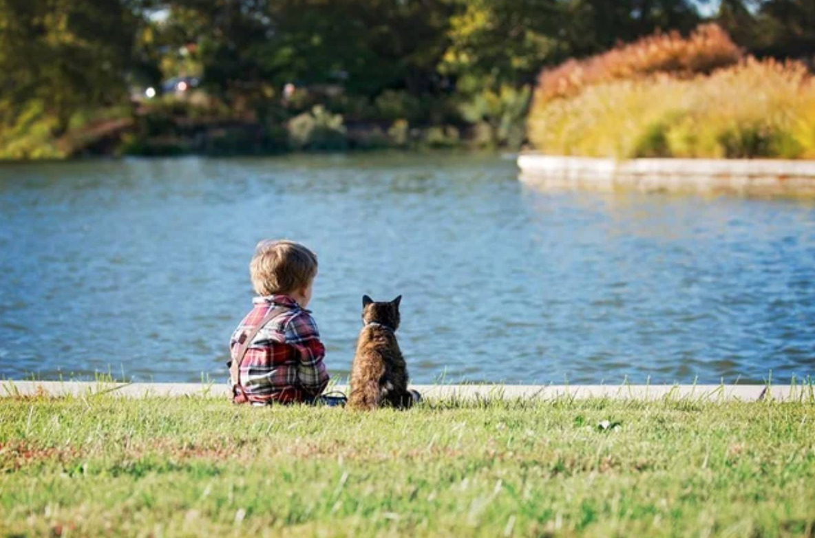 boy and cat sitting together at river edge