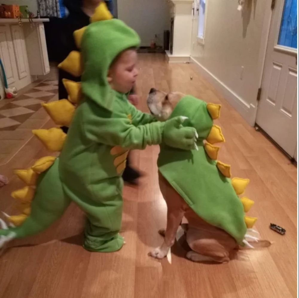 young boy and dog dressed in matching dragon costumes