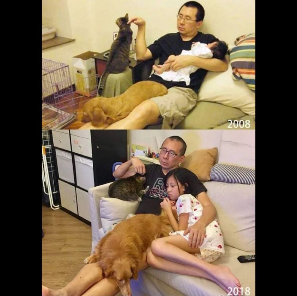 photo of dad holding baby while cat and dog sleep on him replicated ten years later
