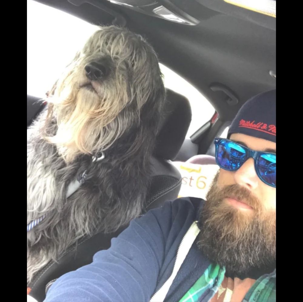 dog and owner have matching beards